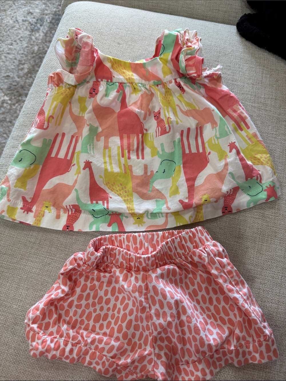 Girls' Animal Print Pink & Mint Matching Set